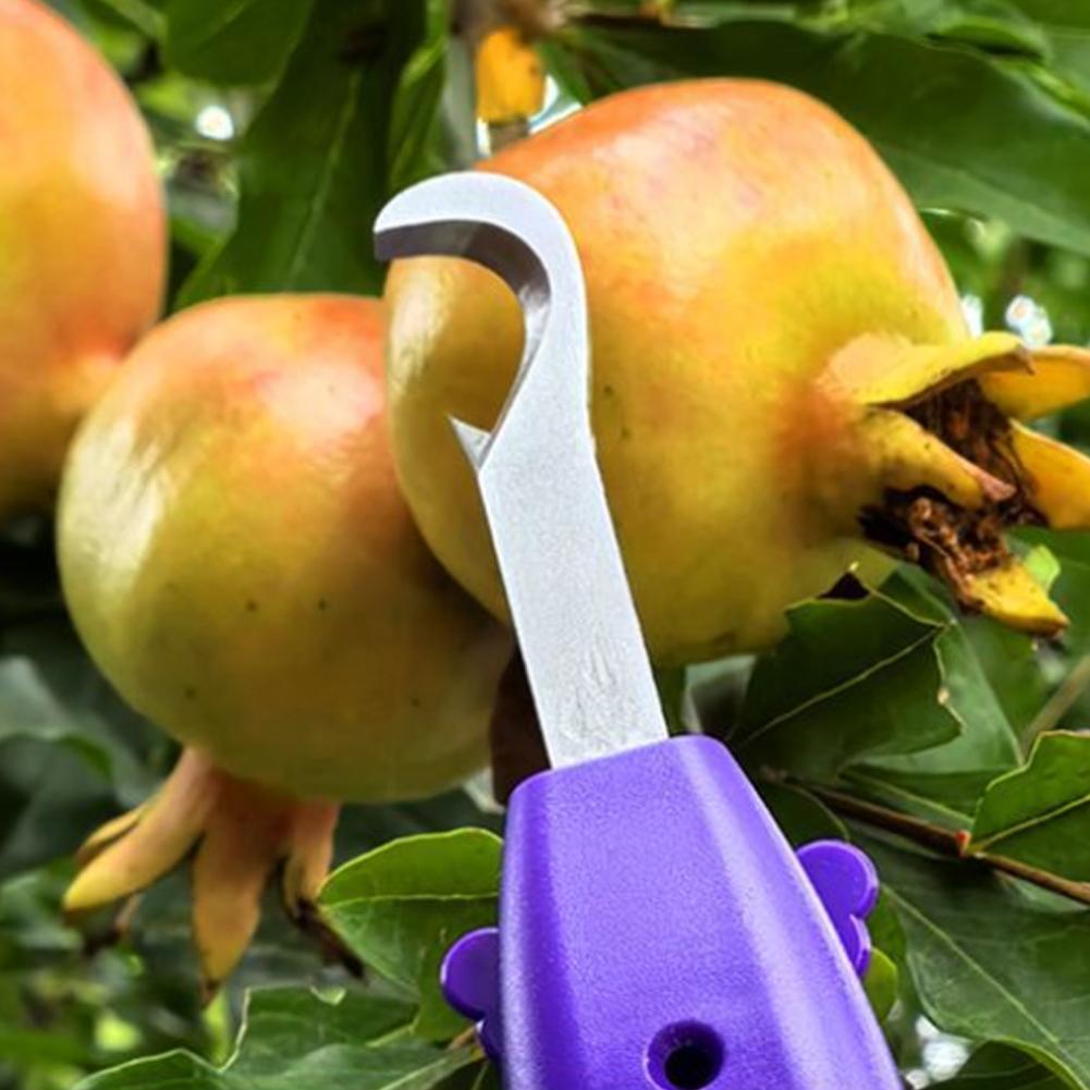 Portable Fruit Vegetable Quick - Gardening Tools Vegetables review and price