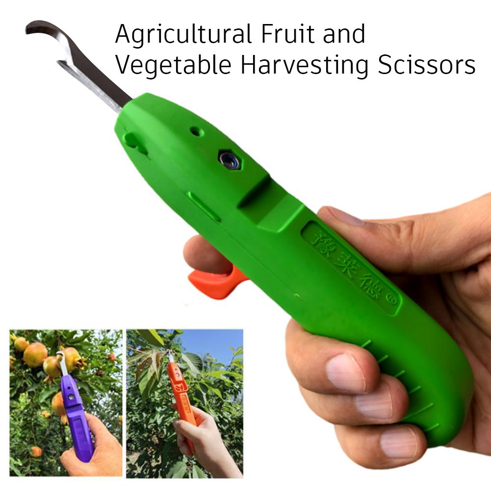 Portable Fruit Vegetable Quick - Gardening Tools Vegetables review and price