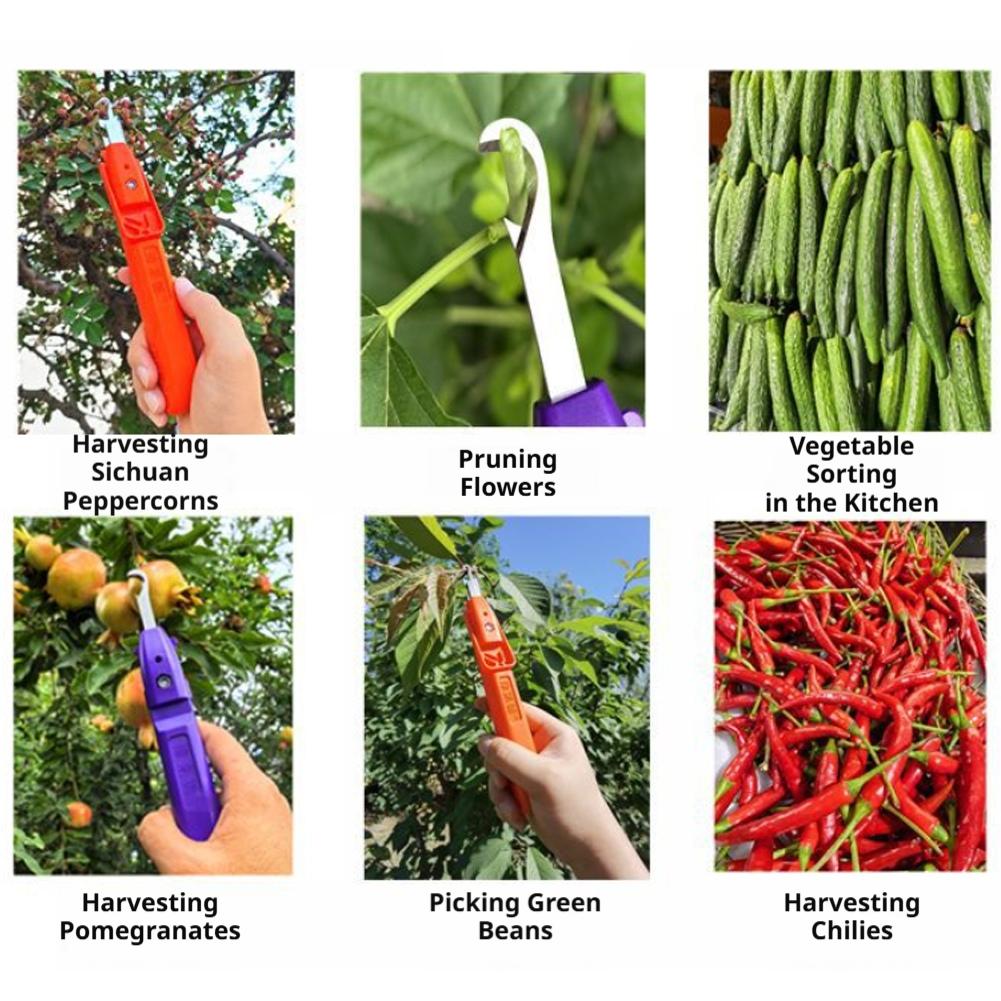 Portable Fruit Vegetable Quick - Gardening Tools Vegetables review and price
