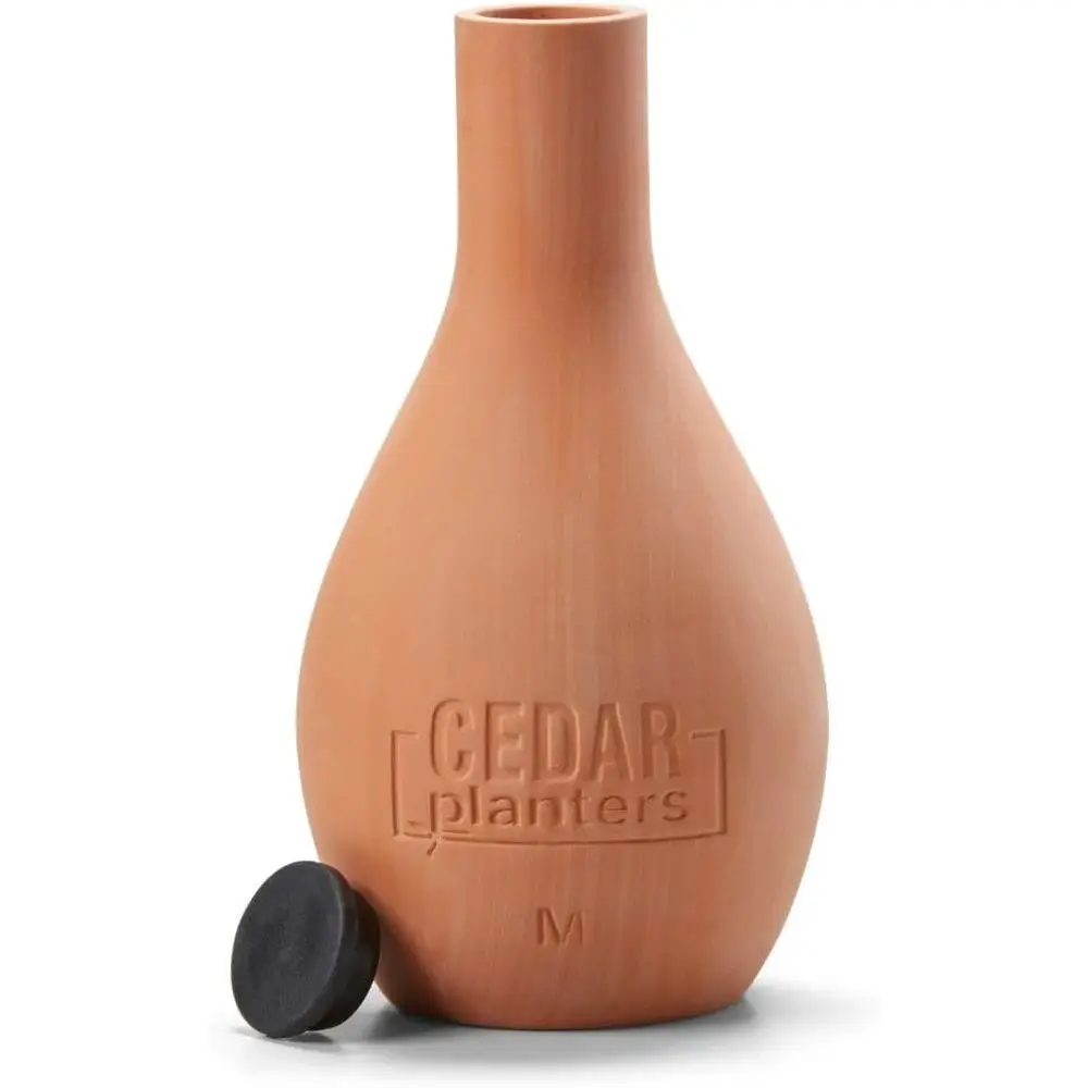 Self-Watering Ceramic Olla Pot - Self-Watering Planter review and price