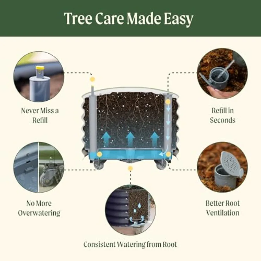 Rolling Citrus Tree Planter Ge - Self-Watering Planter review and price